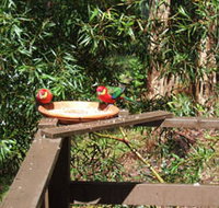Tree Tops - Accommodation Australia