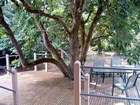 Magnolia House Marysville - Local Tourism 0