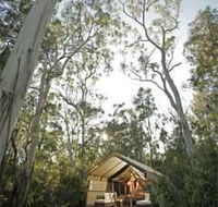 Paperbark Camp - Local Tourism