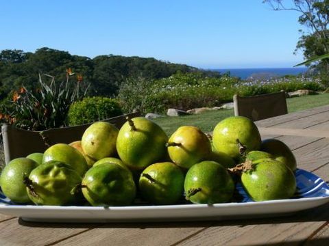 The Outlook Cabana - Local Tourism 8