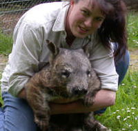 Fauna Australia Wildlife Retreat - Local Tourism