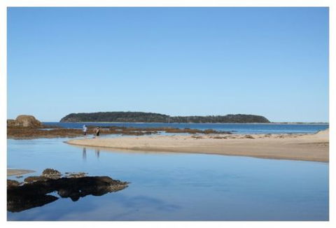 Mossy Point Holiday Rentals - Local Tourism 0