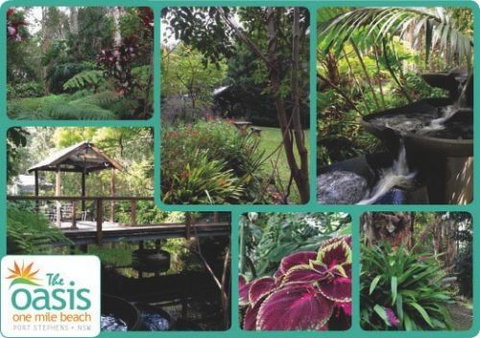 The Oasis At One Mile Beach - Accommodation Australia 2