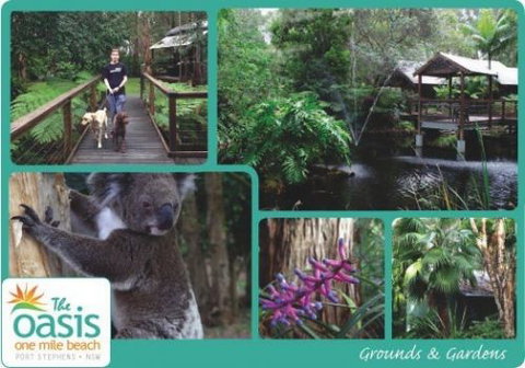 The Oasis At One Mile Beach - Accommodation Australia 3