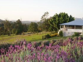Dayboro QLD Local Tourism