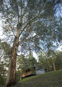 Piedmont VIC Australia Shopping