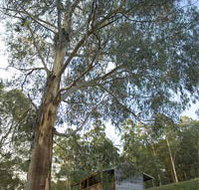 Outpost Restaurant - Australia Shopping