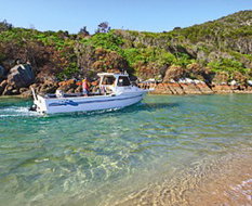 Book Hat Head Accommodation Vacations Local Tourism Local Tourism