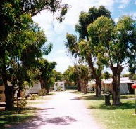 Bathers Paradise Caravan Park - Accommodation Australia