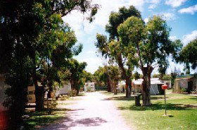 Bathers Paradise Caravan Park - Local Tourism 0