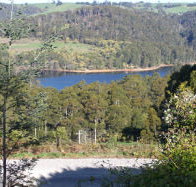 Charlyn Lodge - Accommodation Australia