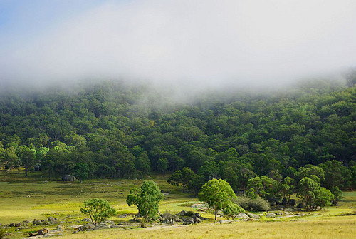 Capoompeta NSW Accommodation Australia
