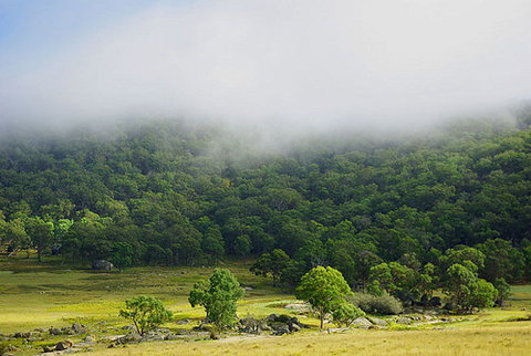 Tor Cottage At Anketell Forest - Accommodation Australia 0