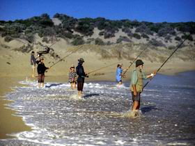 Flippers Beachouse - Accommodation Australia 0