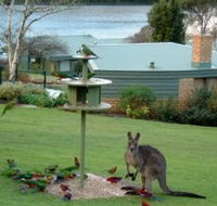 Gipsy Point Lakeside - Local Tourism