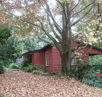 Turkeys Nest Rainforest Cottage - Local Tourism