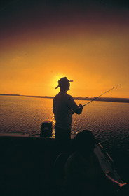 Point Stuart Wilderness Lodge - Local Tourism 0