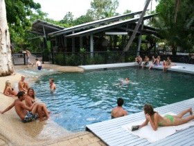Bungalow Bay Koala Village - Local Tourism 0