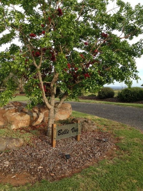 Belle Vue Studio - Local Tourism 0