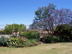 Chuckem Farm - Local Tourism 0