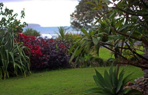 ArtHOUSE Beachfront Accommodation - Local Tourism 6