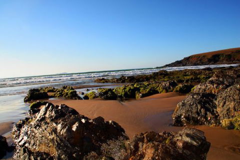 ArtHOUSE Beachfront Accommodation - Local Tourism 8
