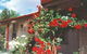 Rose Cottage Bed And Breakfast - thumb 0