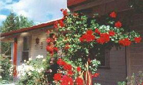 Rose Cottage Bed And Breakfast - Accommodation Australia 0