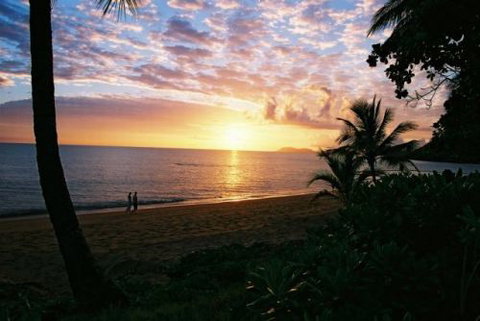 Costa Royale Trinity Beach  - Local Tourism 9