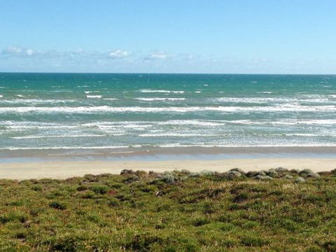 Beach Lovers Middleton - Local Tourism 4