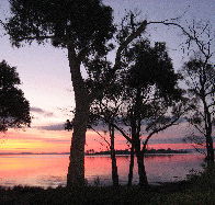 Abs By The Bay - Local Tourism
