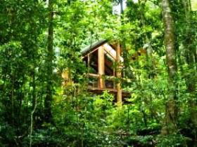 Tarzali QLD Accommodation Australia