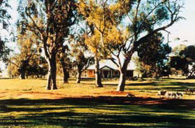 Blue Gum House - Australia Shopping 0