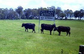 Cluan Homestead - Accommodation Australia 0