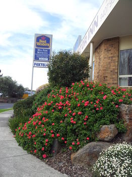 Best Western Mill Park Motel - Local Tourism 16