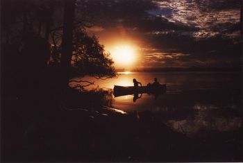 Lake Weyba Cottages Noosa - Accommodation Australia 12