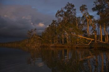 Lake Weyba Cottages Noosa - Accommodation Australia 27