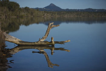 Lake Weyba Cottages Noosa - Accommodation Australia 28