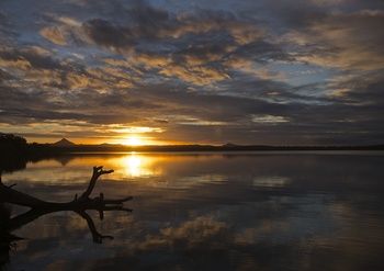 Lake Weyba Cottages Noosa - Accommodation Australia 33