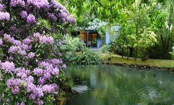 Cottages At Monreale - Local Tourism 7