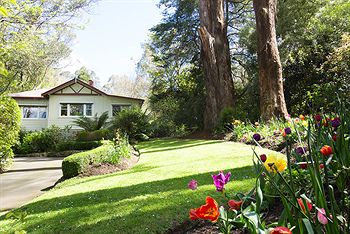 Adeline Bed And Breakfast - Local Tourism 5