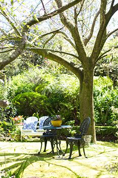 Adeline Bed And Breakfast - Local Tourism 7