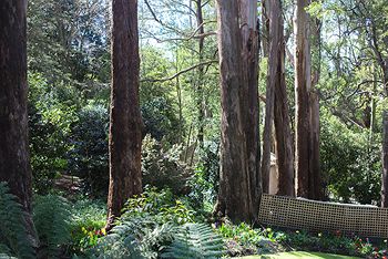 Adeline Bed And Breakfast - Local Tourism 8