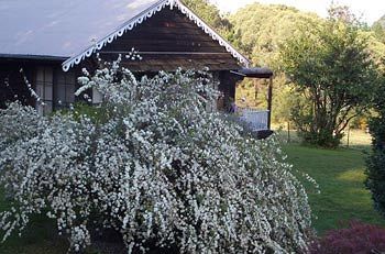 Madison's Mountain Retreat - Local Tourism 3