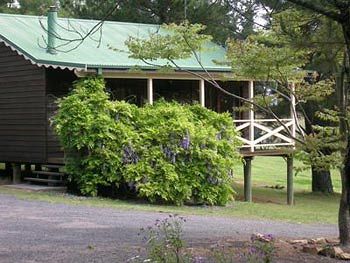 Madison's Mountain Retreat - Local Tourism 4
