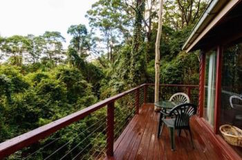 Kondalilla Eco Resort - Accommodation Australia 0