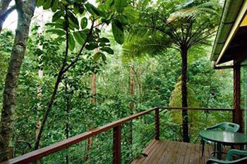 Kondalilla Eco Resort - Accommodation Australia 2
