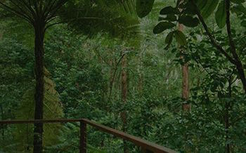 Kondalilla Eco Resort - Accommodation Australia 7