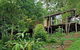 Kondalilla Eco Resort - thumb 22