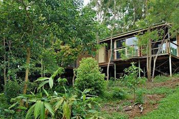 Kondalilla Eco Resort - Accommodation Australia 22